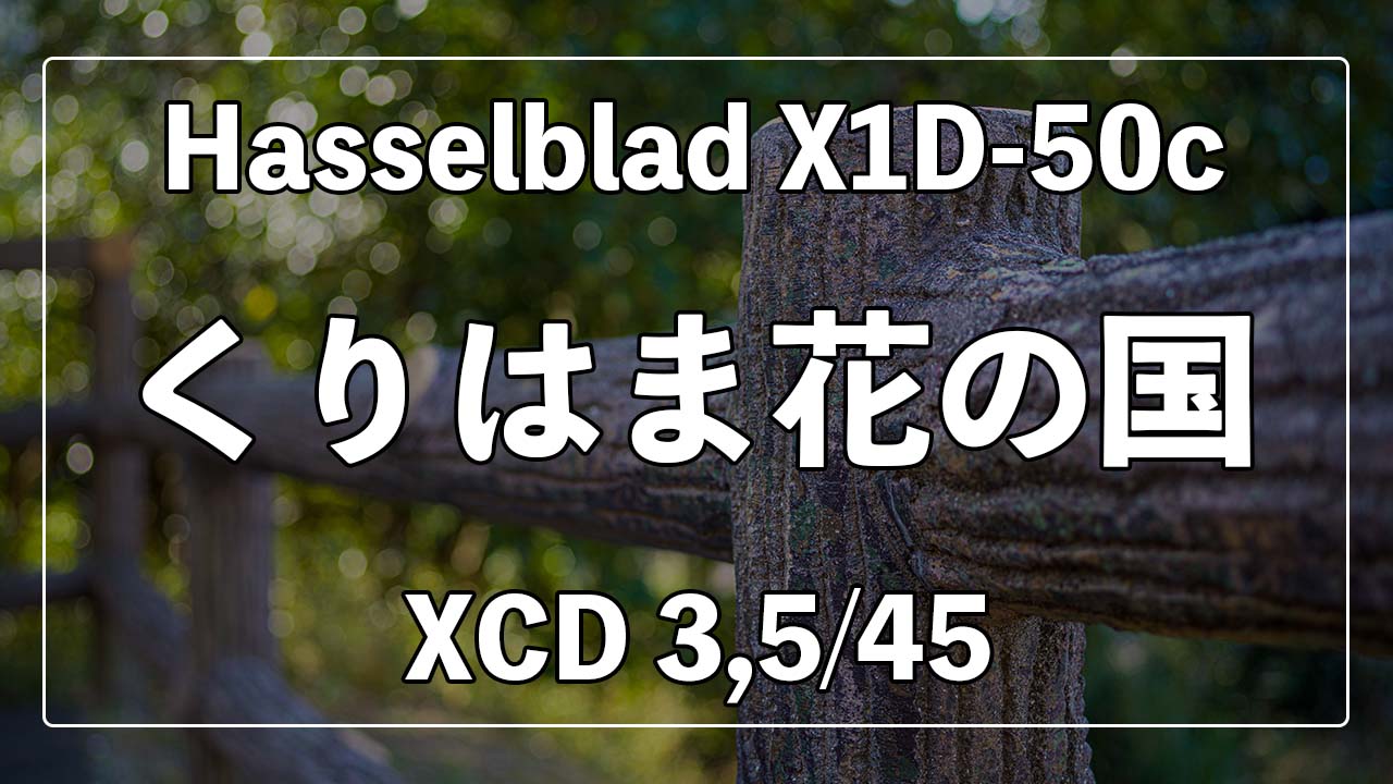 XCD45mm F3.5 | 35mmの奇跡